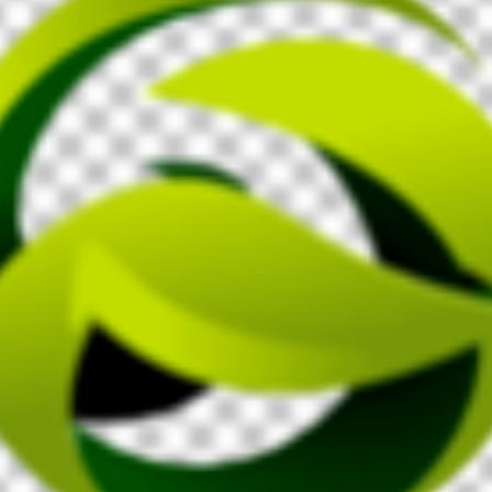 GKONLINE ENTERPRISES 